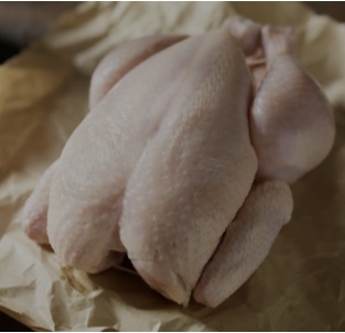 Protein-rich Foods
