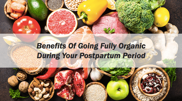 Should You Go Fully Organic During the Postpartum Period? - Tian Wei ...