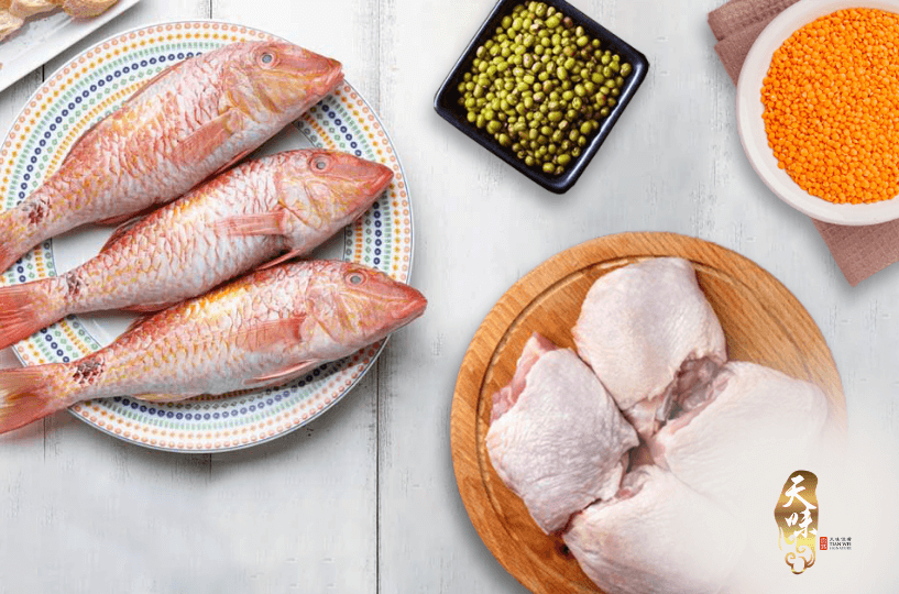 Protein-rich Foods