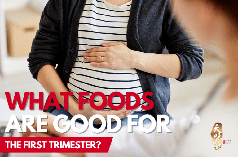 Foods Are Good For The First Trimester